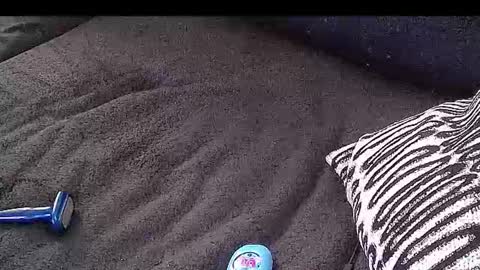 Mr. E the BBC online show from July 3, 5:56 am