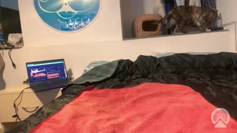 aircum99_ online show from November 13, 4:42 pm