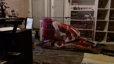 alexas_owned_bitch online show from July 2, 11:31 pm