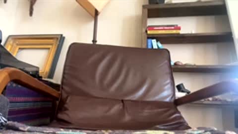 arealjerk69696969 online show from June 10, 5:56 pm