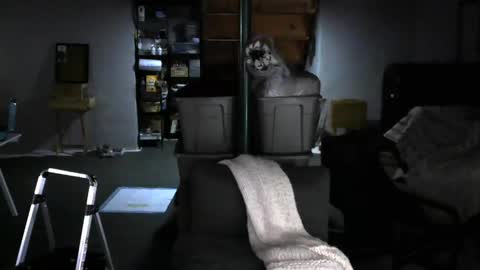 Carl online show from February 4, 8:02 am