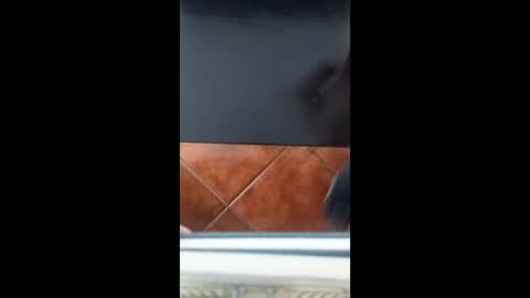 coronel_pliskin online show from May 31, 4:50 pm