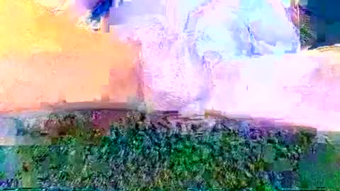 cwaddle online show from June 3, 1:58 pm