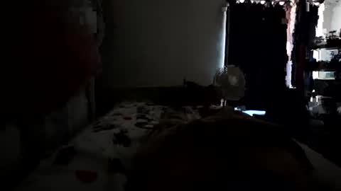 daddydel63 online show from July 6, 1:19 pm