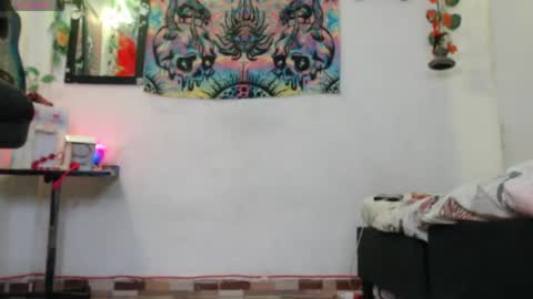 Dakko online show from June 3, 9:12 am