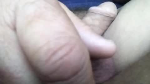 dannowisc online show from July 22, 9:44 am