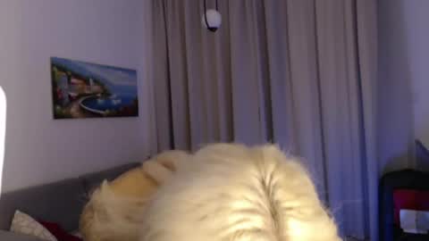 Jenna online show from July 6, 7:16 pm