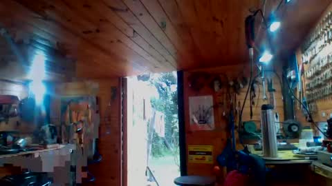 discretopasivo online show from June 13, 5:01 pm