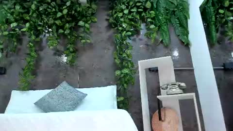 Emily online show from July 21, 1:35 pm