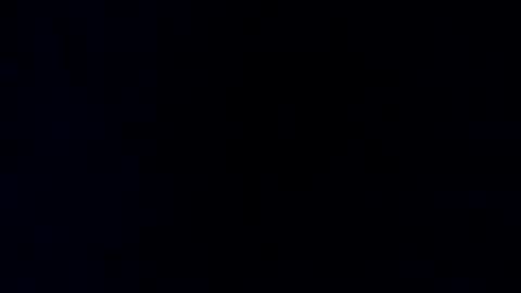 hamburg9135 online show from July 18, 12:01 am