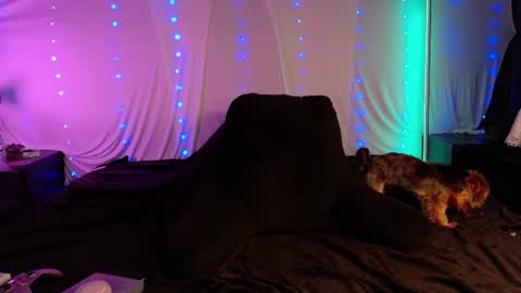 Alli online show from July 1, 11:35 pm