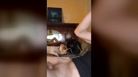 jcors online show from July 6, 5:48 am