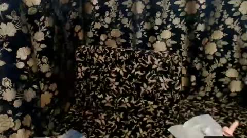 maria sofia online show from May 31, 10:58 am