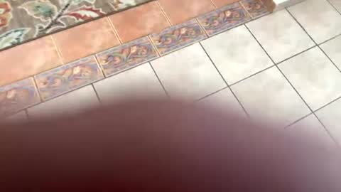 mommymona online show from July 14, 8:14 pm