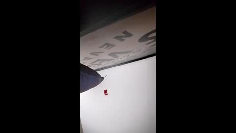 mr_donkey23 online show from February 15, 4:04 am