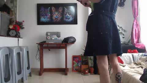 mrcock_col online show from July 14, 3:50 pm