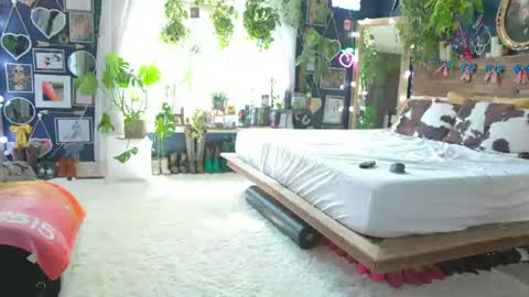 Olive online show from July 4, 5:16 pm