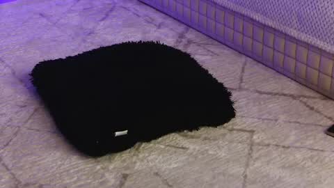 Xandra online show from May 25, 5:13 am