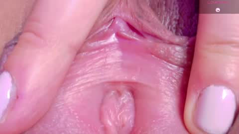 orchidekitty online show from May 9, 1:44 am