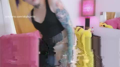 Sky Burrito online show from May 11, 4:48 pm