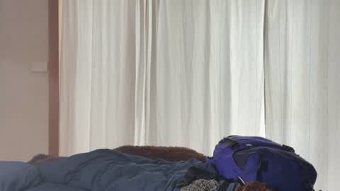 randytoy online show from June 29, 5:04 am