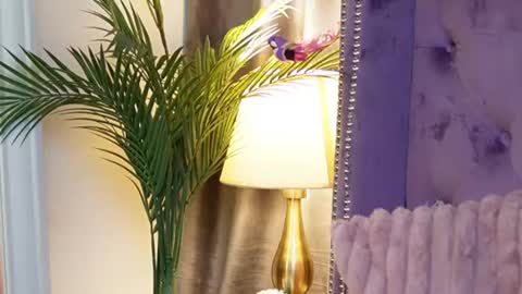  Sarai  online show from July 14, 3:55 am