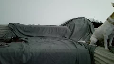 sircheese69x2 online show from June 6, 8:20 am