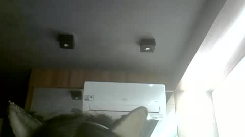 skinnykittencam online show from May 31, 8:21 pm
