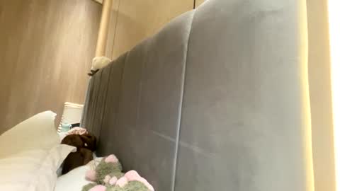 sofiaalvarezx online show from July 11, 5:05 pm