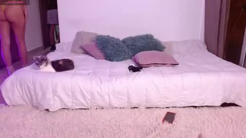      online show from June 21, 3:35 am