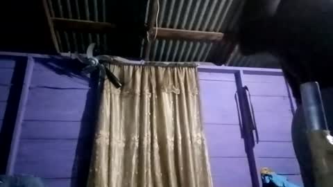 steve6247 online show from July 1, 9:40 am