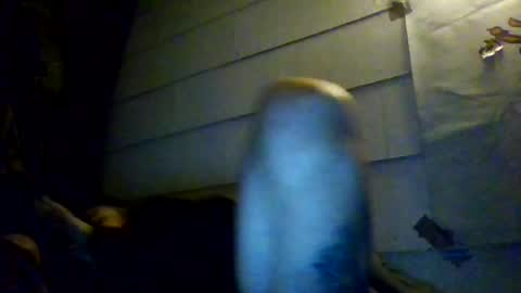 tigerlilly9999 online show from August 2, 11:01 am