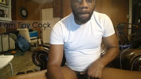 tinycock_1979 online show from June 30, 3:00 pm