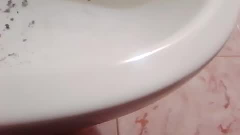 whatcdog12118 online show from May 16, 8:51 pm