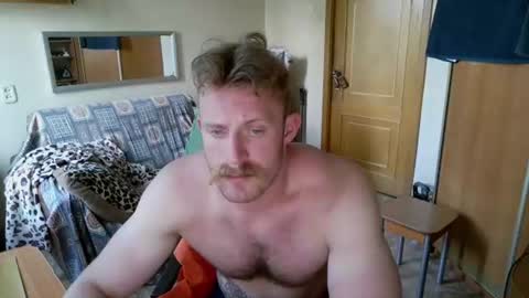 WhiteBull online show from June 21, 2:45 pm