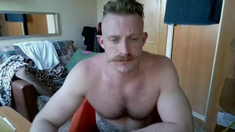 WhiteBull online show from June 7, 3:50 pm