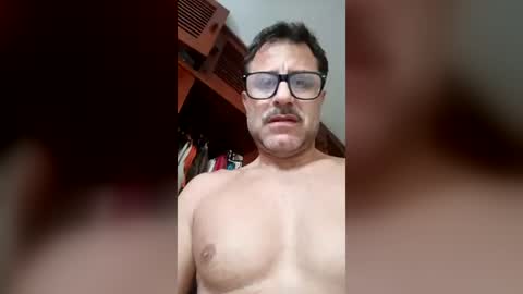 wildlux online show from August 3, 12:22 pm