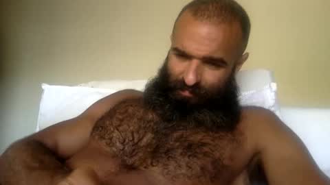 woof_wolf37 online show from May 31, 5:44 pm