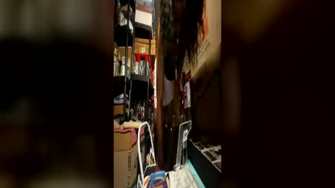Wynter Heat online show from June 17, 8:41 am