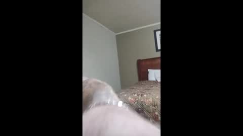 1990babyscg online show from March 7, 2:00 am