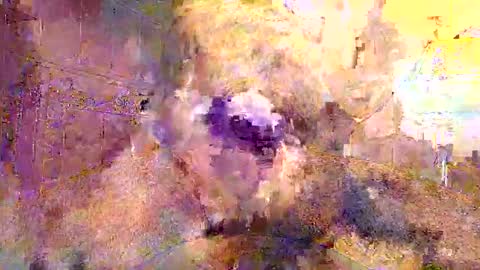 2022felipe online show from November 17, 12:46 am