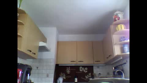 20x5cmgermanlongdong online show from September 16, 11:23 am