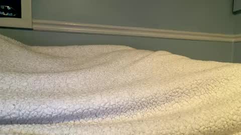 56nicecock35 online show from March 8, 2:32 pm