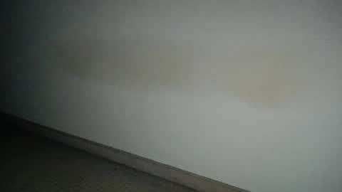 69___pas online show from December 12, 7:52 am