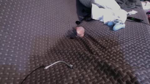 Chris online show from March 2, 4:53 pm