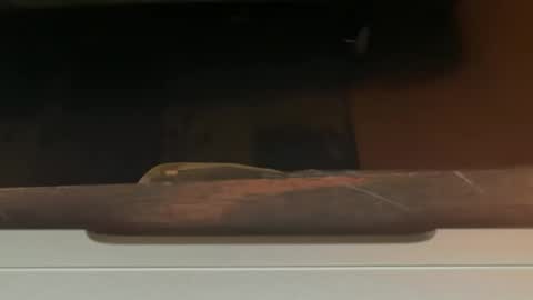 FUCKR online show from October 14, 9:23 am