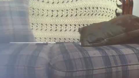 Snapshot of 69sextoyboy69 chatting on January 25, 3:41 pm 69sextoyboy69 online show from January 25, 3:41 pm