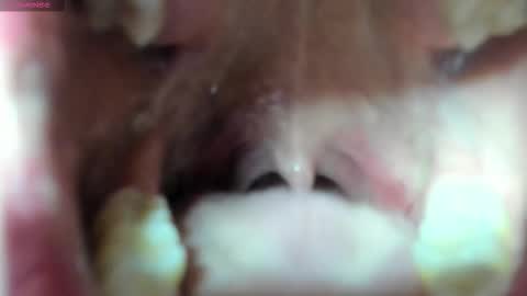 antonia online show from February 3, 1:48 pm