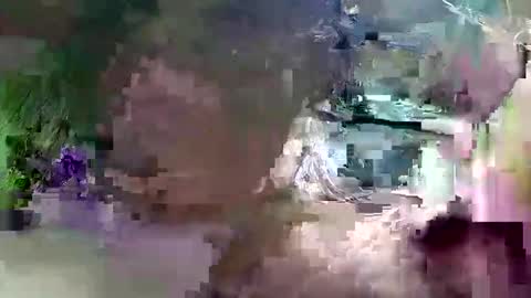 _hershey003 online show from September 14, 1:45 pm