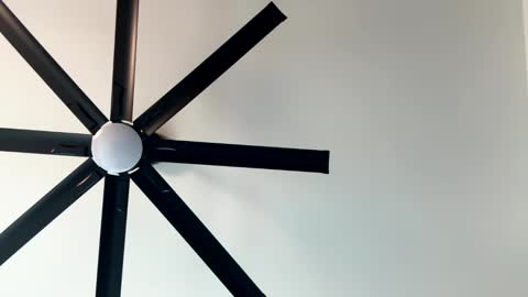 Snapshot of _littlewolfie_ chatting on January 11, 10:07 pm Little Wolfie online show from January 11, 10:07 pm